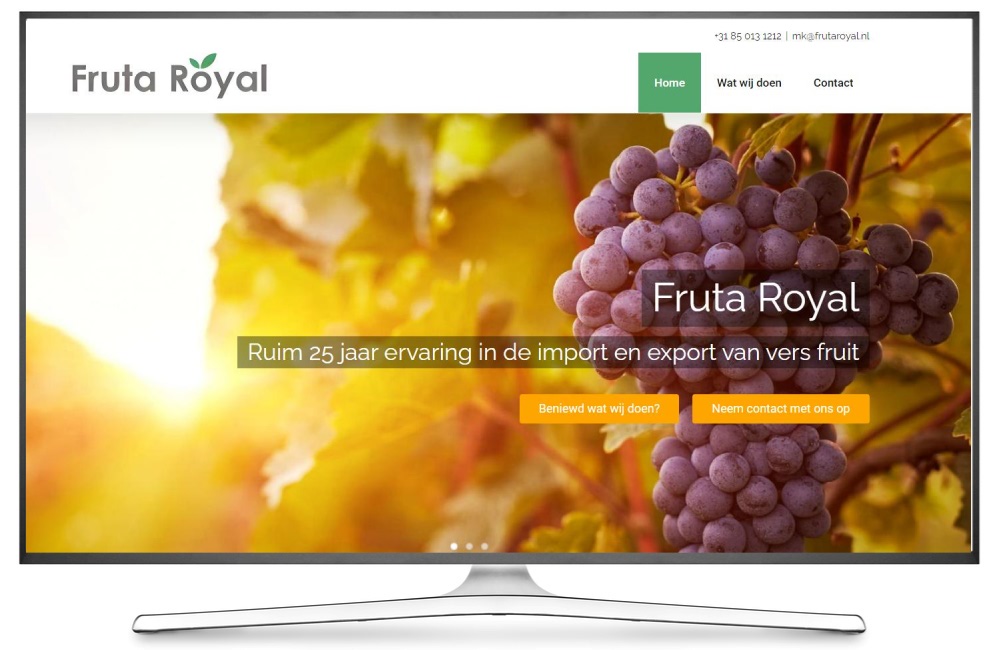 Online Marketing Friesland